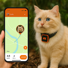 Ladda upp bild till gallerivisning, KittyFind GPS Collar
