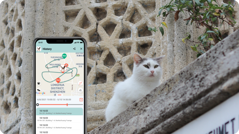 KittyFind GPS Collar